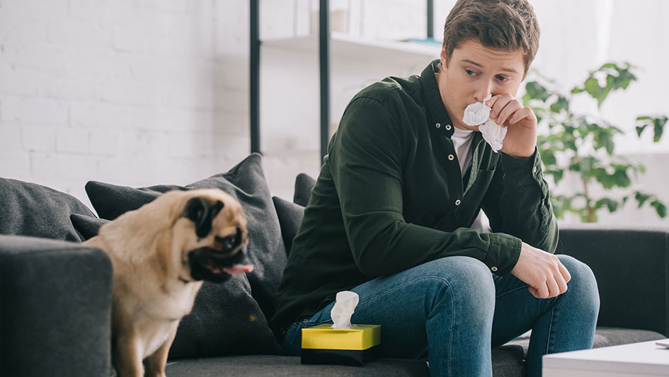 Installing an air purifier is one of the top methods to enhance your house’s indoor air quality. Find out more about the three best options. 